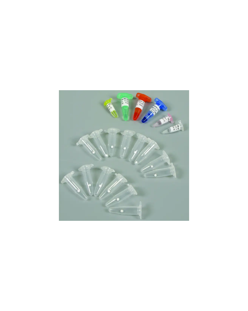 Kit PCR - Diagnostic microbiologique