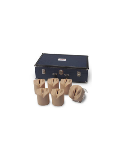 Simulateur d'examen du col de l'utérus