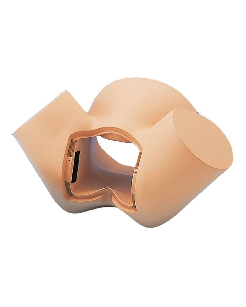 Modèle de bassin pour simulateurs