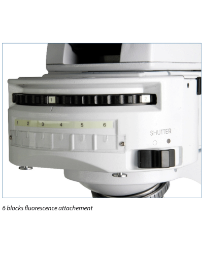 MICROSCOPE TRINOCULAIRE A FLUORESCENCE Modèle IS.3152PLI-3