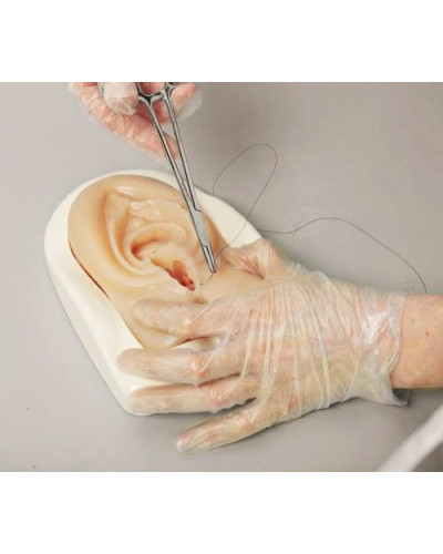 Simulateur pour l'épisiotomie et déchirure du périnée