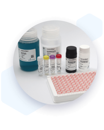 Réactifs ELISA Chlamydia Trachomatis IgG