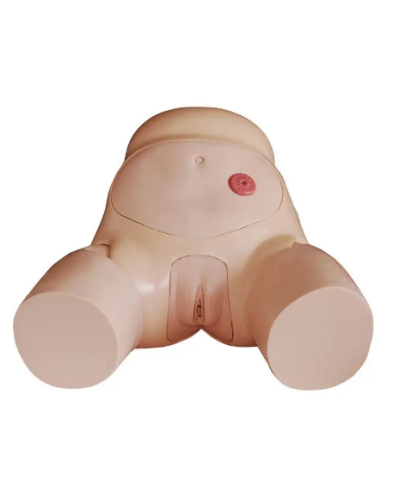 Simulateur cathétérisme des organes génitaux masculins et féminin modèle XC-408