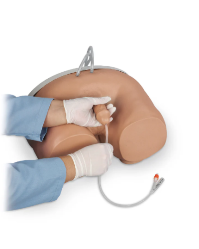 Simulateur cathétérisme des organes génitaux masculins et féminin modèle XC-408