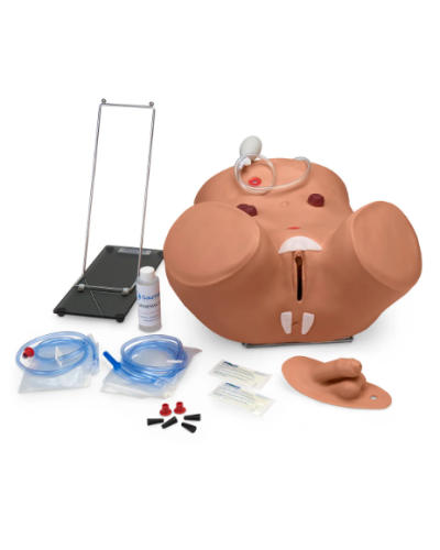 Simulateur cathétérisme des organes génitaux masculins et féminin modèle XC-408
