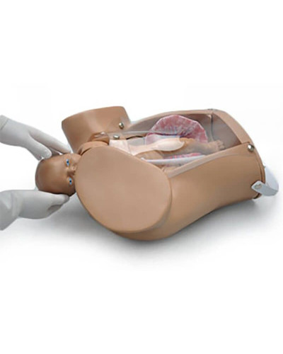 Mécanisme d'accouchement - Simulateur