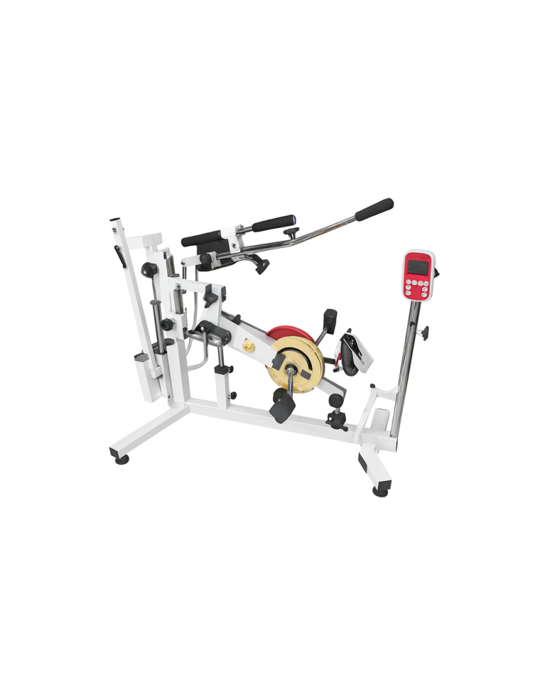 Appareil de réeducation de la cheville