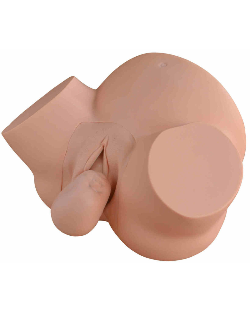 Simulateur d'accouchement pour formation de sage-femme