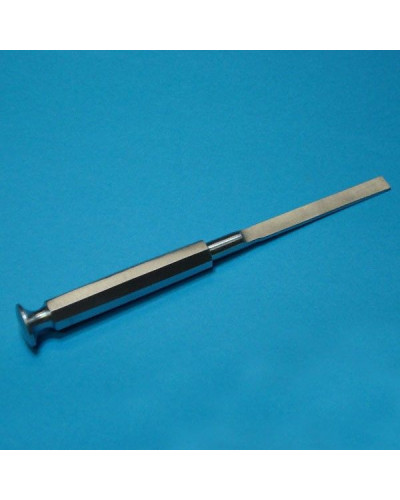 Burin Faraboeuf 21 cm x 15 mm