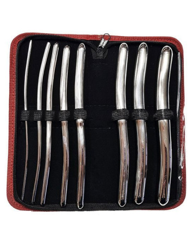 Set de dilatateurs de hegar de 22 à 30 mm ( Boite de 8)