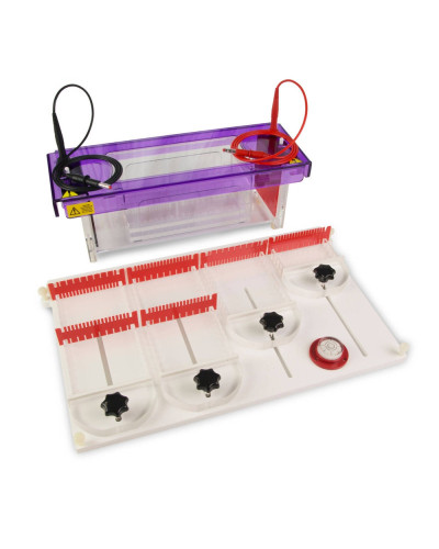 Cuve d'électrophorèse horizontale  sur gel MultiSUB