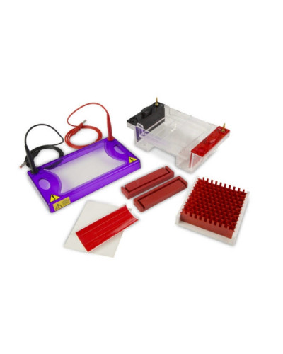 Cuve d'électrophorèse horizontale  sur gel MultiSUB Cuve d'électrophorèse horizontale  sur gel MultiSUB