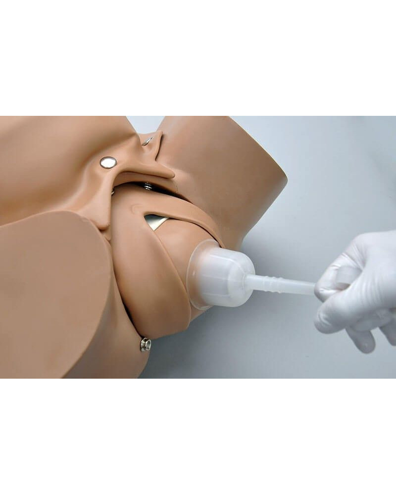 Simulateur d\'accouchement par extraction manuelle sous vide (Ventouse obstétricale)