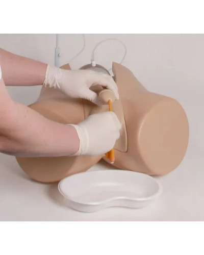 Simulateur cathétérisme avec organes génitaux féminin « Florence » et masculine « Henri »