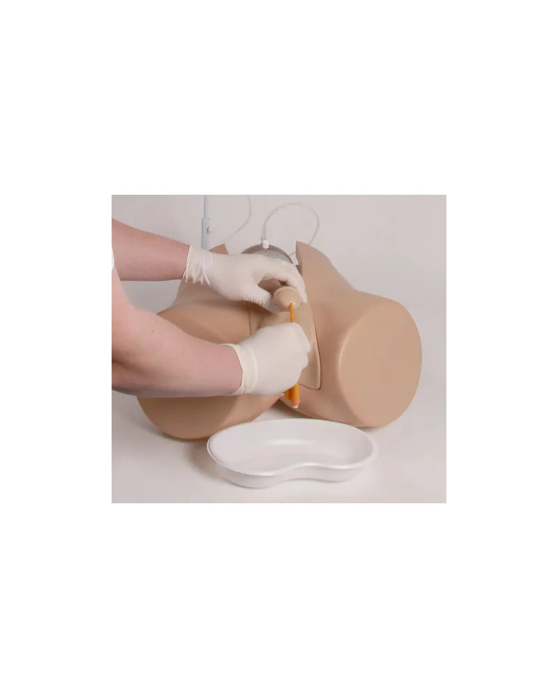 Simulateur cathétérisme avec organes génitaux féminin « Florence » et masculine « Henri »