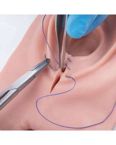 Simulateur pour l´épisiotomie et déchirure du périnée