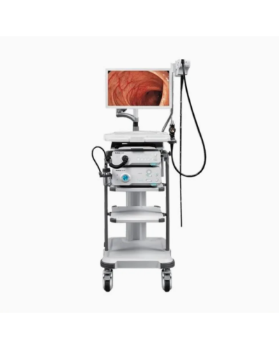 Système d'endoscopie vidéo (Gastro et colonoscope) haute définition, modèle HD-350