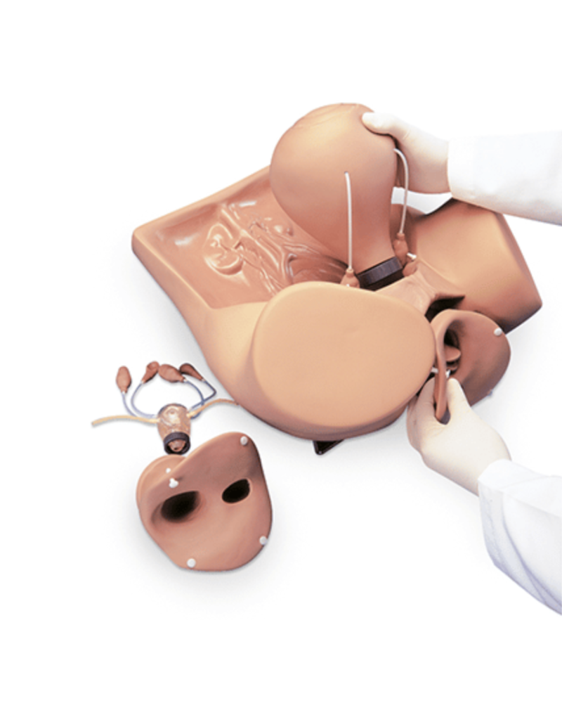 Mannequin de pratique gynécologique ZOE S504.100