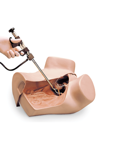 Mannequin de pratique gynécologique ZOE S504.100