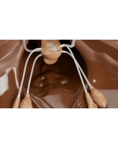 Mannequin de pratique gynécologique ZOE S504.100