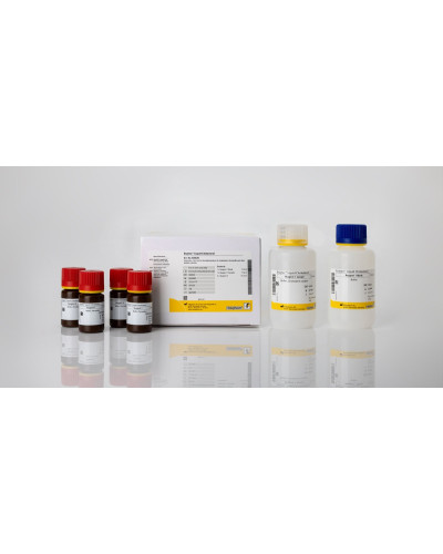 Cholestérol Liquide Amélioré(TOTAL) 2 x125 ml