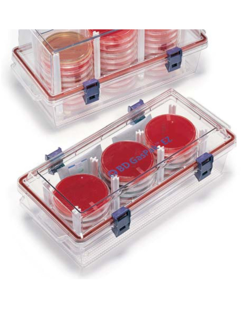 Jarre pour anaérobiose Gazpack EZ