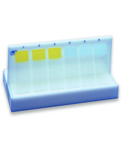 Support plexi pour séchage des lames