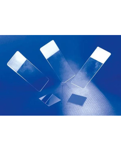 Lame porte objet en verre bords rodés à  90°pour cytocentrifugeuse, 1 cercle diamètre 13mm B/100