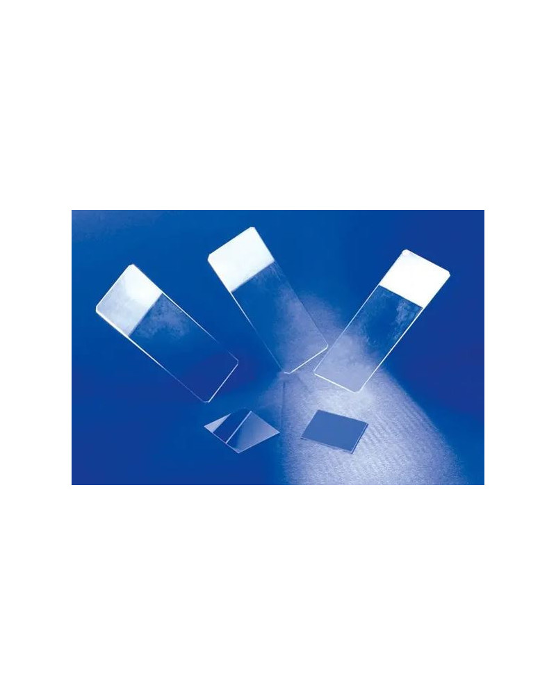 Lame porte objet en verre bords rodés à  90°pour cytocentrifugeuse, 1 cercle diamètre 13mm B/100