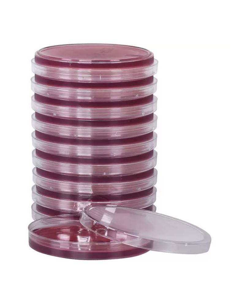 Gélose MC CONKEY CRYSTAL VIOLET 20PLT