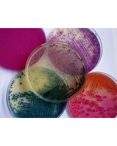 Gélose de CLED 20PLT