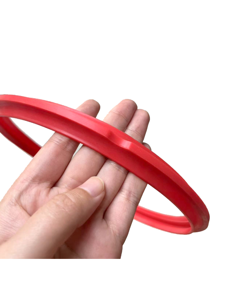 Joint de porte pour autoclave en silicone (SAP 600)