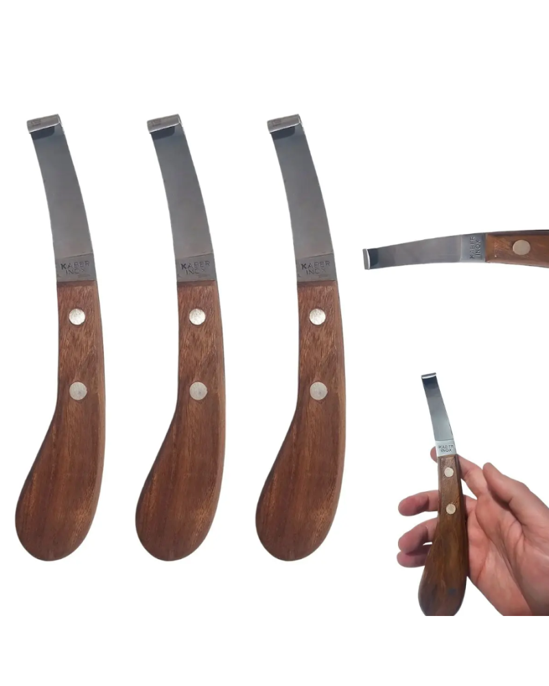 Couteau anglais à  Lame étroite