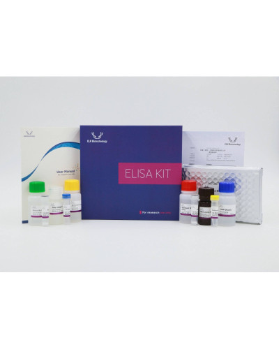 T4 ELISA (Thyroxine)  Kit pour 96 tubes