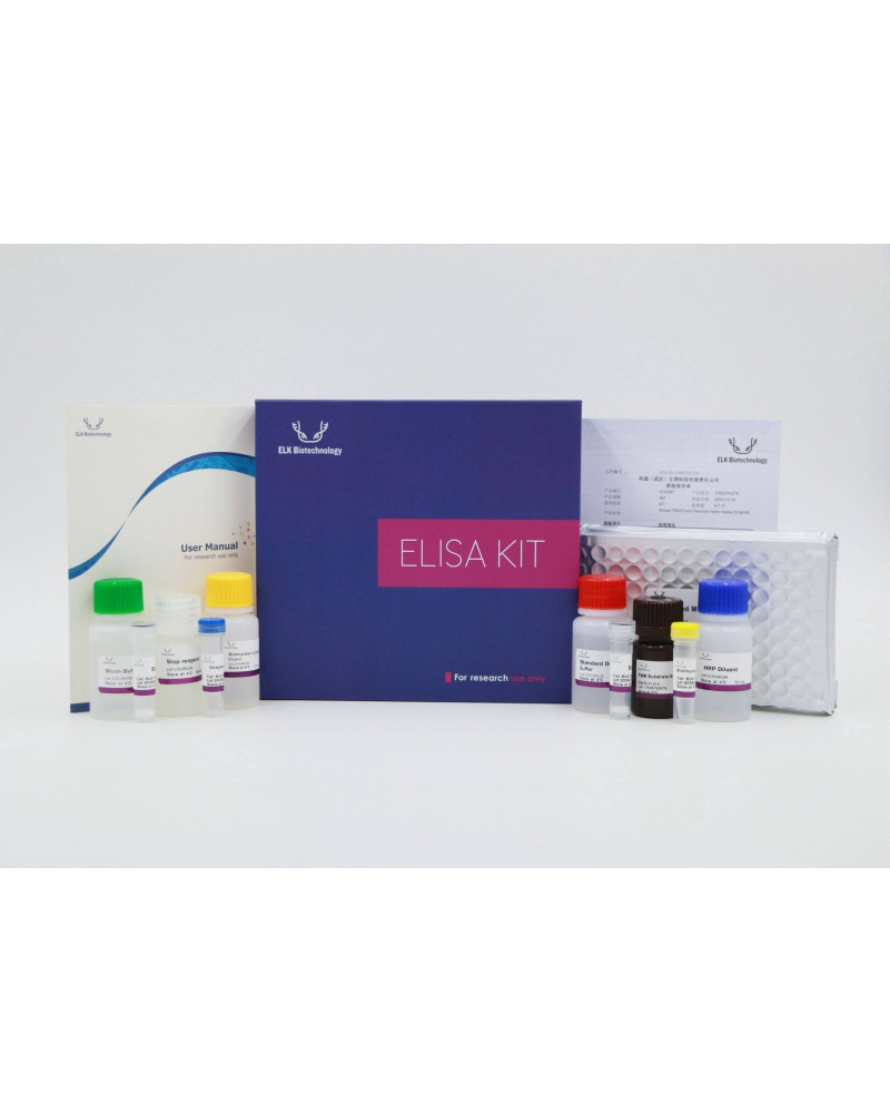 PSA Total ELISA (Prostate Specific Antigen)