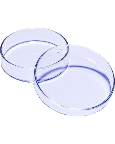 Boîte de Pétri en verre Pyrex Boîte de Pétri en verre Pyrex