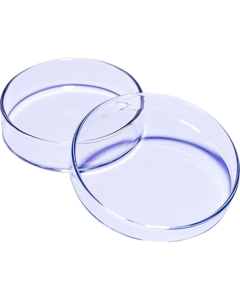 Boîte de Pétri en verre Pyrex Boîte de Pétri en verre Pyrex