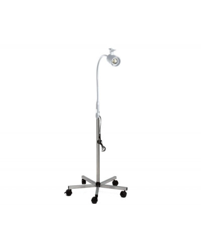 Lampe examen Duman