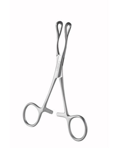 Pince en coeur, 25 cm