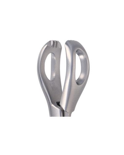 Pince tenaille de PAUCHET Pince tenaille de PAUCHET