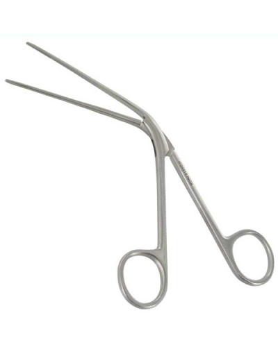 Pince de Lubet Barbon mors lisses