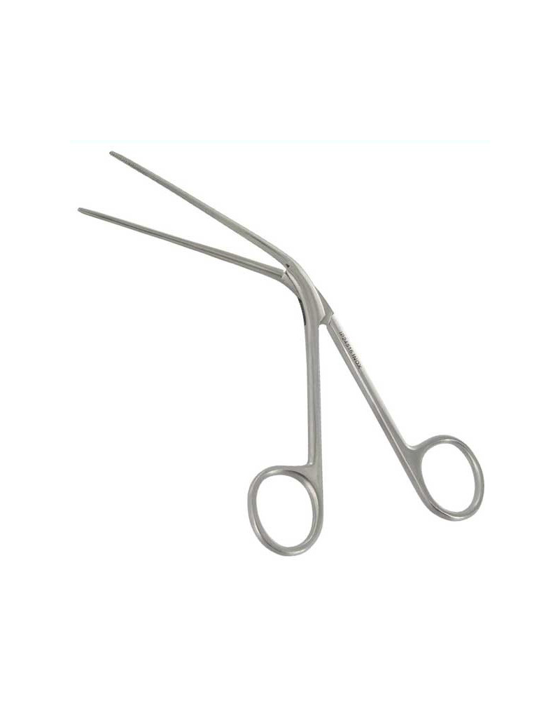 Pince de Lubet Barbon mors lisses