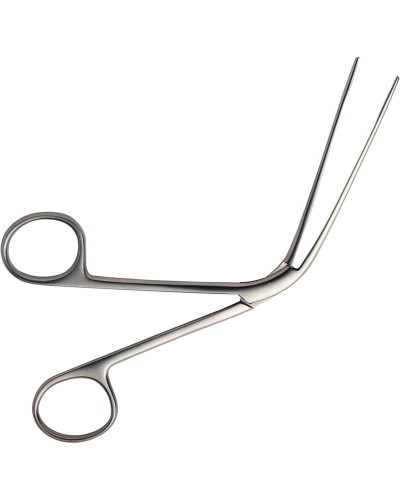 Pince de Lubet Barbon mors lisses