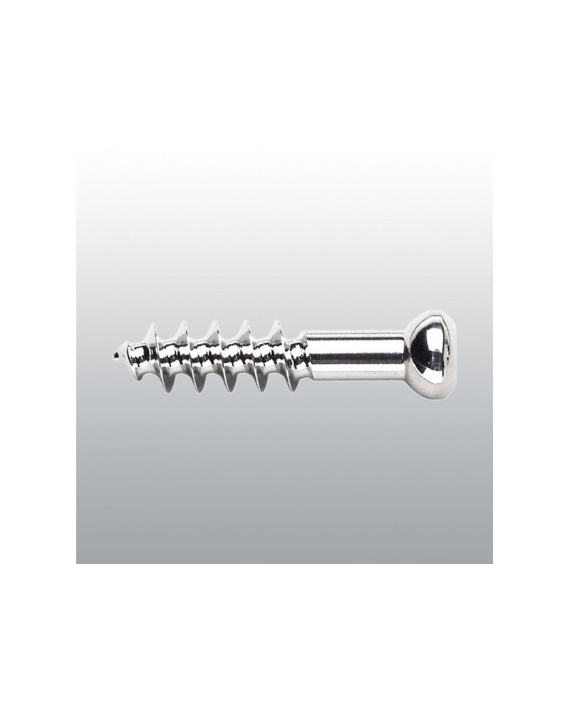 Vis spongieuse à¸ 6,5 mm filetage 16 mm