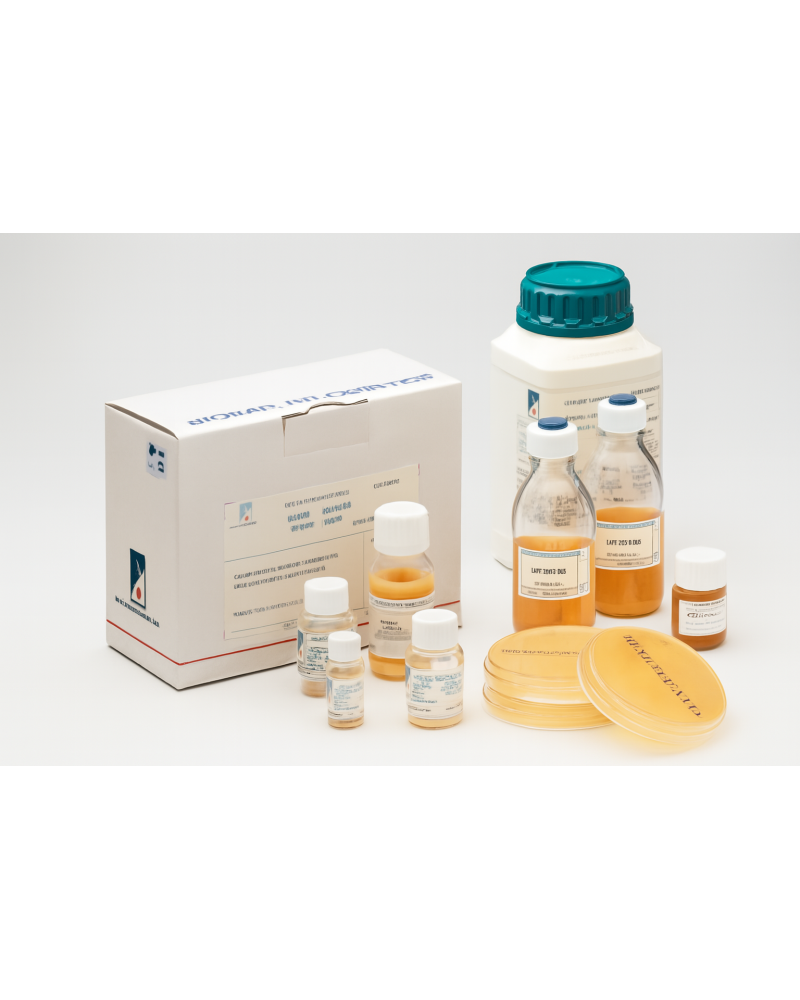 Gélose de Sabouraud au chloramphénicol