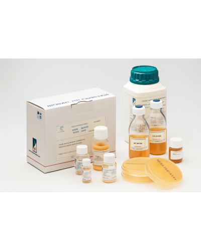 Gélose de Chapman au mannitol