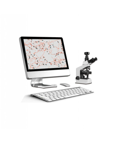 Analyseur de qualité du sperme, Modèle SW-3703