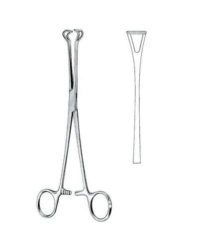 Pinces Babcock 20 cm