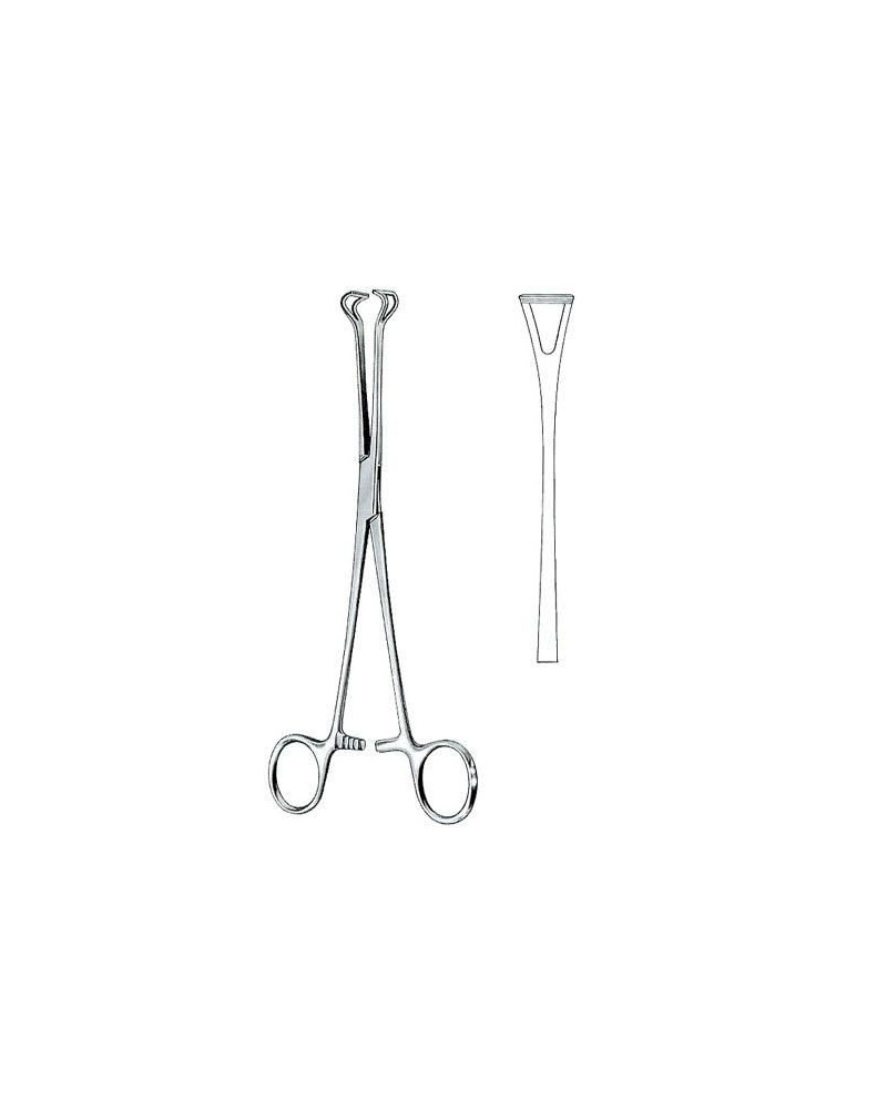 Pinces Babcock 20 cm Pinces Babcock 20 cm