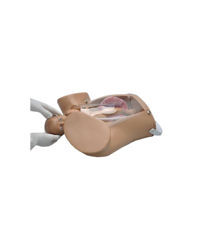 Simulateur Avancé d'Accouchement Simulateur Avancé d'Accouchement